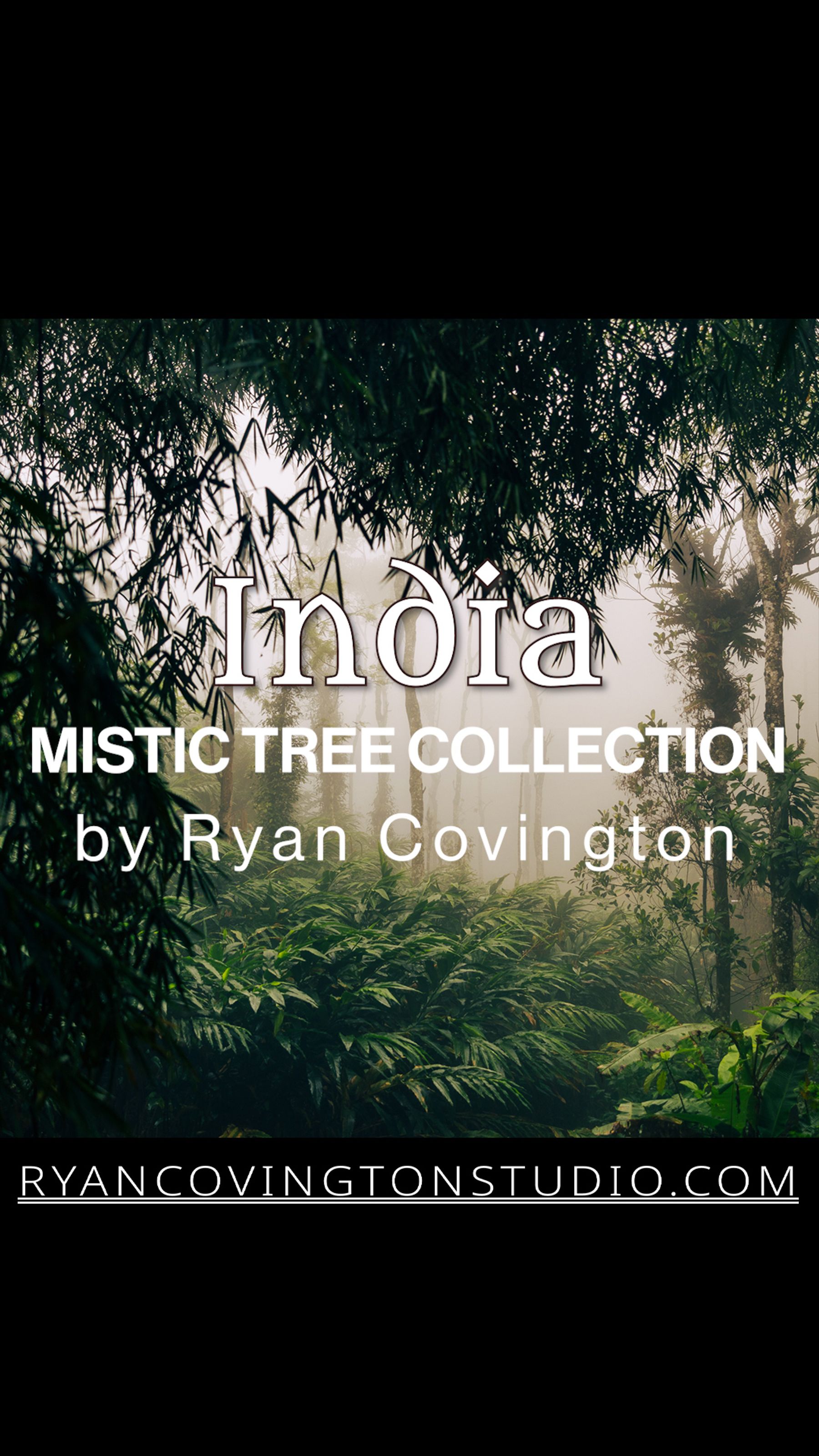 Mistic Tree w Website n WORDS